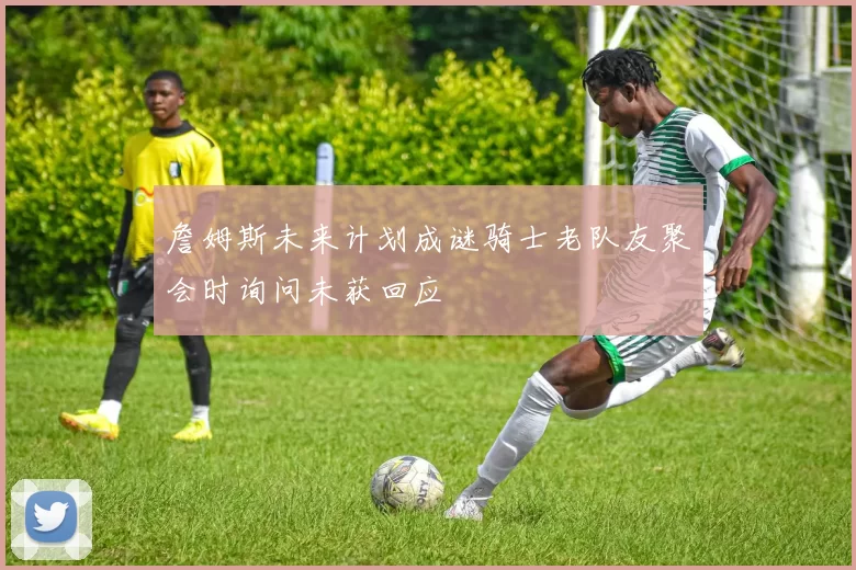 詹姆斯未来计划成谜骑士老队友聚会时询问未获回应