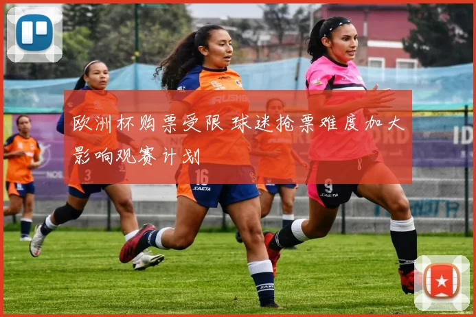 欧洲杯购票受限 球迷抢票难度加大影响观赛计划