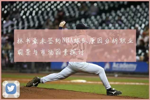 林书豪未签约NBA球队原因分析职业前景与市场因素探讨
