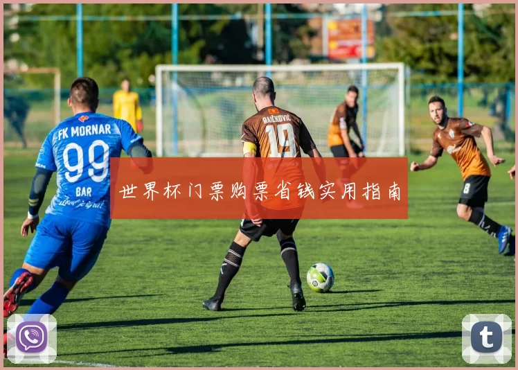 世界杯门票购票省钱实用指南