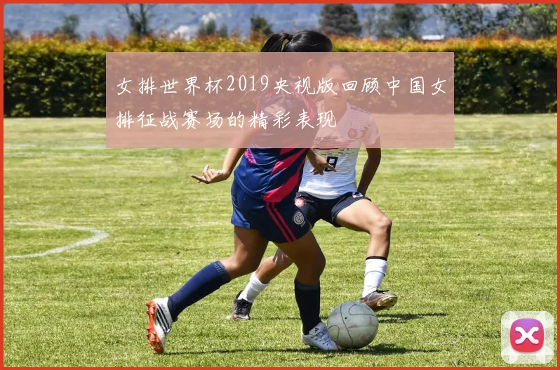 女排世界杯2019央视版回顾中国女排征战赛场的精彩表现