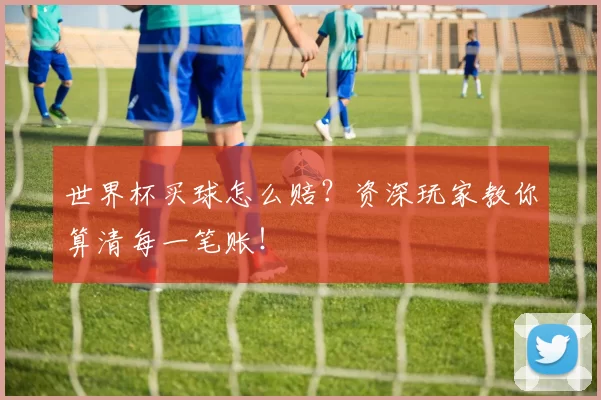 世界杯买球怎么赔？资深玩家教你算清每一笔账！
