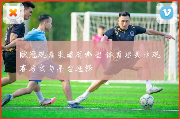 欧冠观看渠道有哪些 体育迷关注观赛方式与平台选择