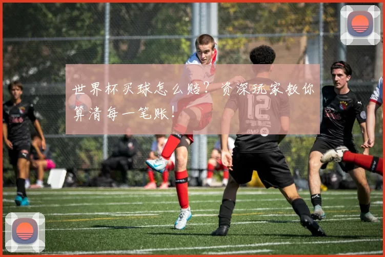 世界杯买球怎么赔？资深玩家教你算清每一笔账！