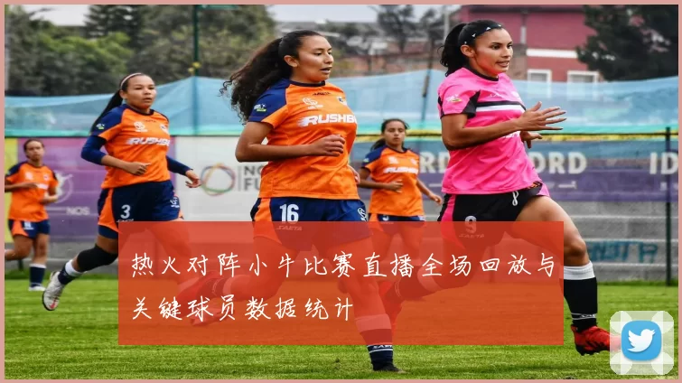 热火对阵小牛比赛直播全场回放与关键球员数据统计