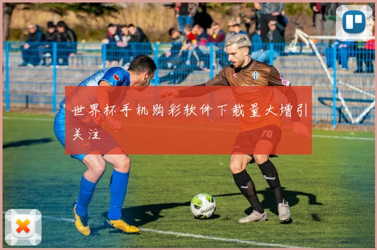 世界杯手机购彩软件下载量大增引关注