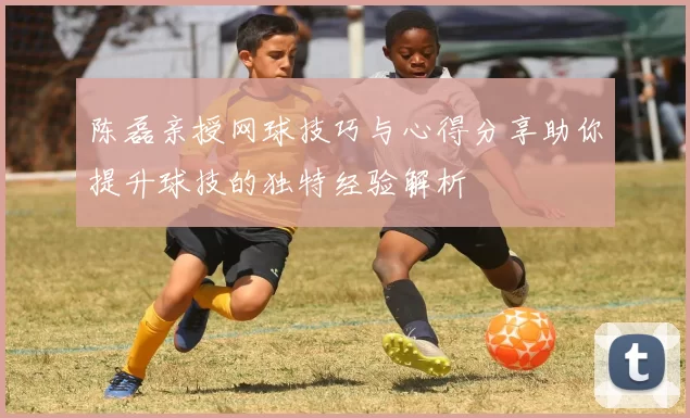 陈磊亲授网球技巧与心得分享助你提升球技的独特经验解析