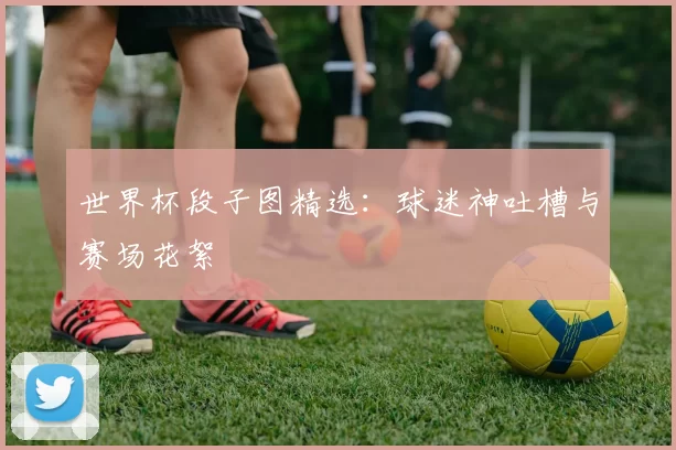 世界杯段子图精选:球迷神吐槽与赛场花絮